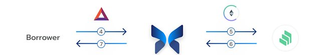 速览Morpho：兼顾流动性与资本效率的借贷池优化器