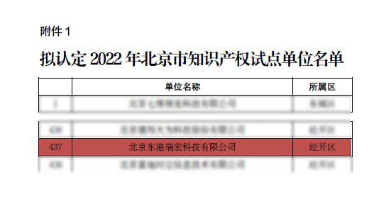 东港瑞宏（瑞宏网）入选2022年北京市知识产权试点单位