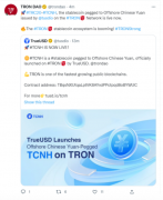 稳定币竞争下 TrueUSD与波场TRON的“快手式突围”