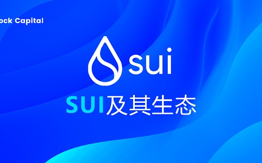 一文读懂SUI及其生态