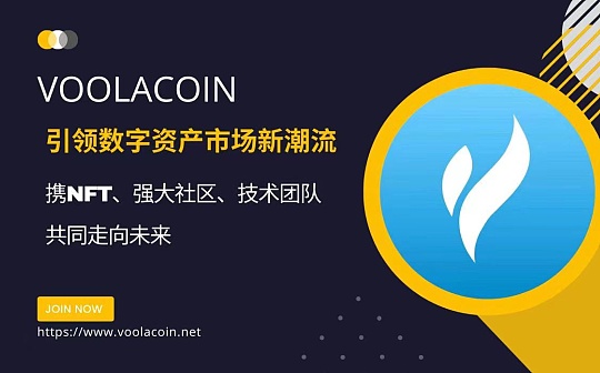 Voolacoin：引领数字资产市场新潮流