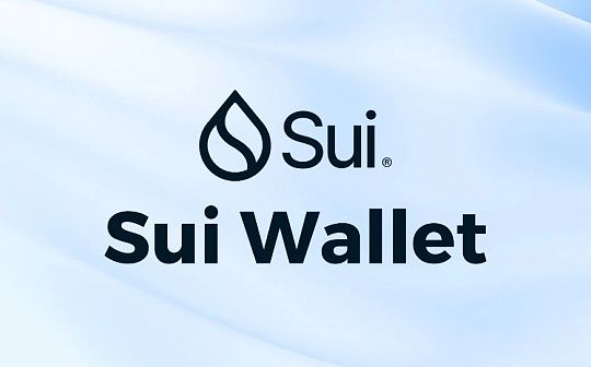 手把手教你使用Sui Wallet（保姆級教程）