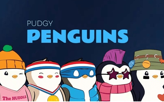 1kx发文解读为何领投Pudgy Penguins 900万美元融资