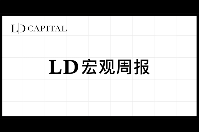 LD 宏观周报(2023/05/29)