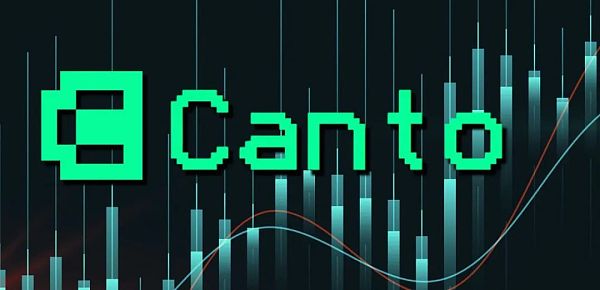 Canto 研究报告