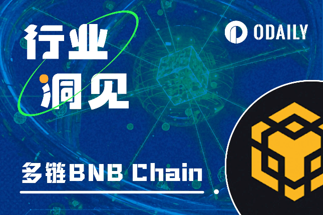 BNB Chain多链解读：如何满足Web3大规模采用的多样场景？