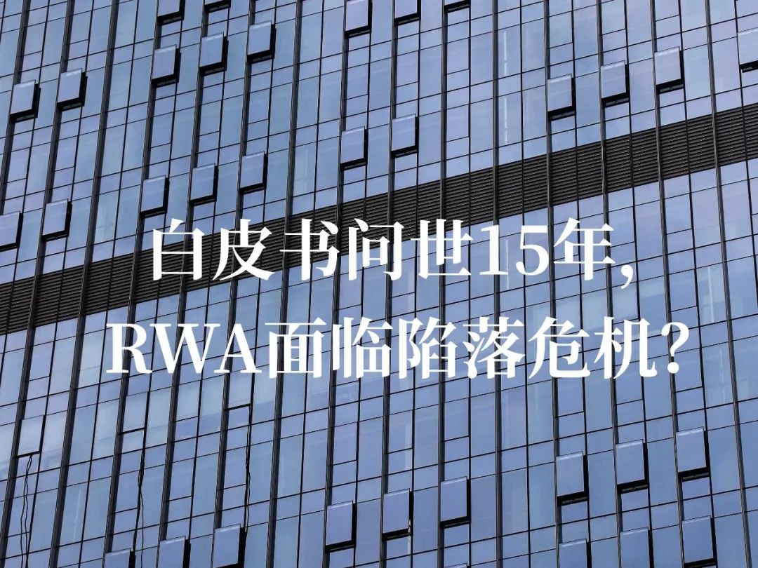 白皮书问世 15 年，RWA 面临