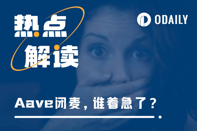 <b>Aave未披露的漏洞，可能在哪些项目上复现？</b>