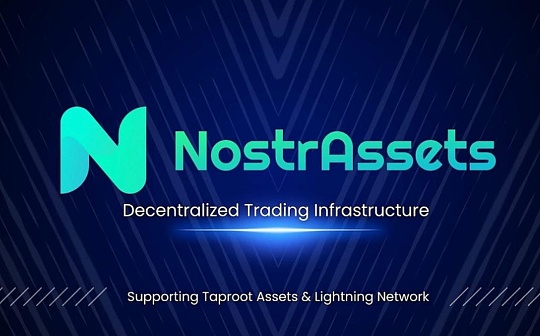 Nostr Assets的误解与实际功能解析