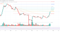 Solana ETF 已列入贝莱德议程？ 专家辟谣