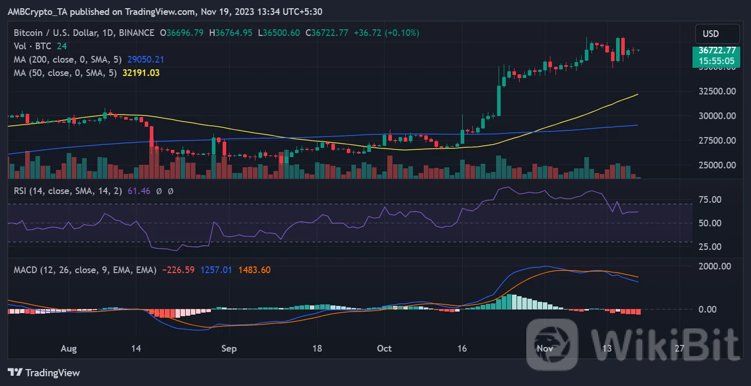 比特币：尽管 BTC 横盘整理，但 LTH 仍创下新纪录