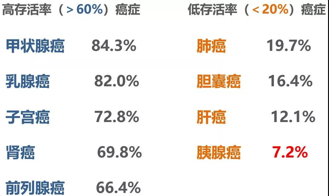 达摩院的AI研究，让人类首次实现了大规模胰腺癌早筛