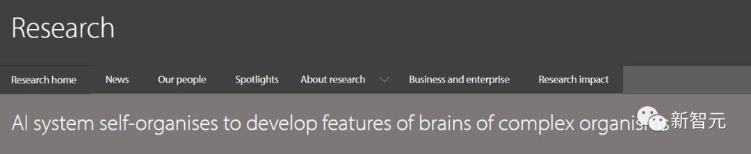 仿人脑神经开发AI，剑桥大学最新研究登Nature子刊，人造大脑成AI新方向