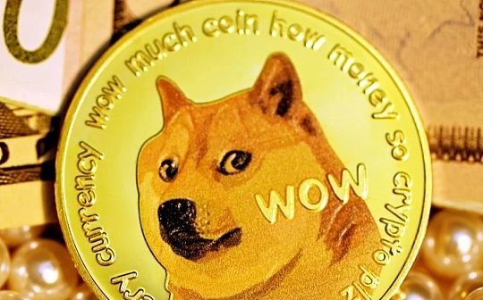 从 Gamestop 到 Dogecoin：探讨模因学、网络群体现象及其对未来的影响