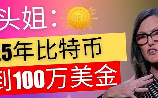 木头姐：BTC将达到100万美金