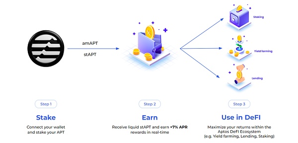 Sui和Aptos生态隐藏黑马——Navi和Amnis早期布局指南