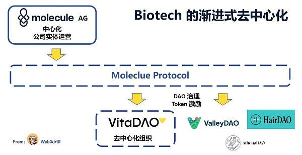 DeSci：探索 Biotech 项目进入 Web3 的业务模式及可行路径