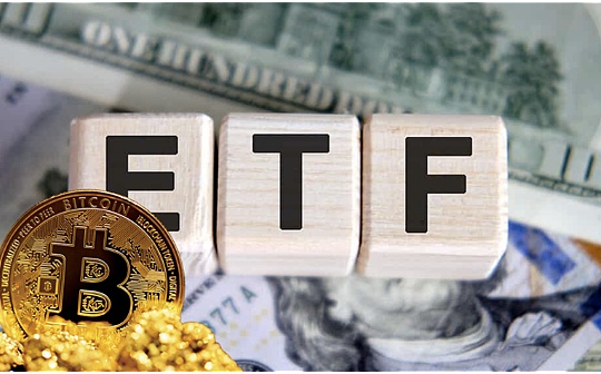 贝莱德和富达比特币ETF 1月份资金流量位居前十