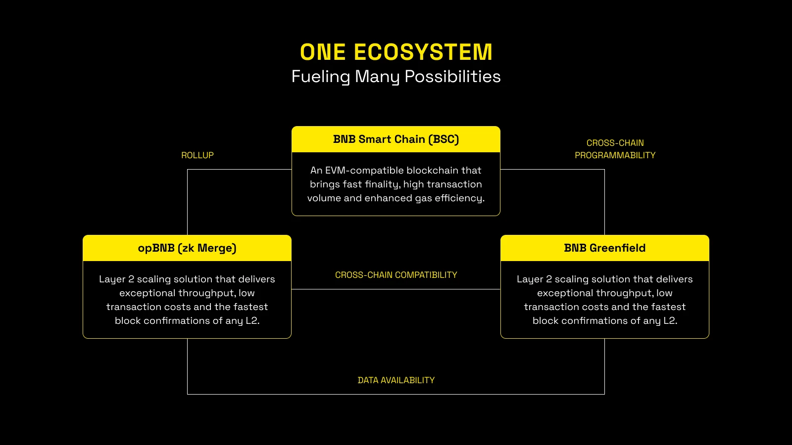 BNB Chain发布Web3蓝图：One BNB连接起BSC、opBNB和Greenfield