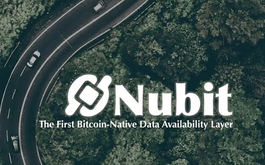 Nubit：改变比特币的模块化索引器