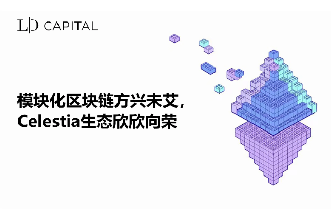 LD Capital：模块化区块链方兴未艾，Celestia生态欣欣向荣