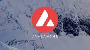 支付巨头Stripe集成Avalanche网络