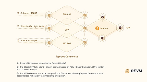 比特币原生拓展技术集大成者——BEVM技术黄皮书全面解读