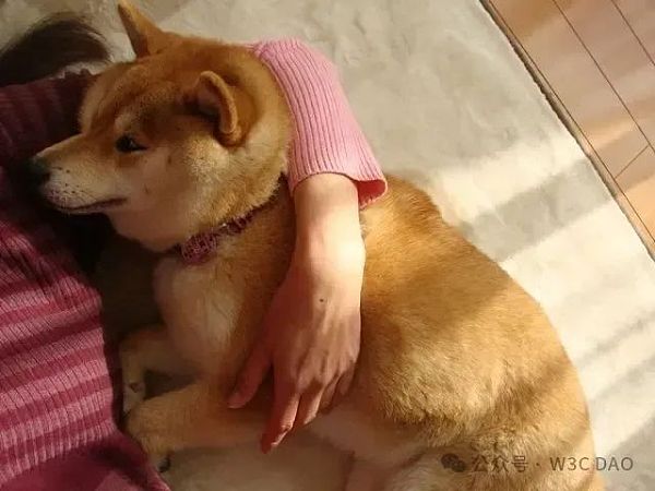 狗狗币原型柴犬去世