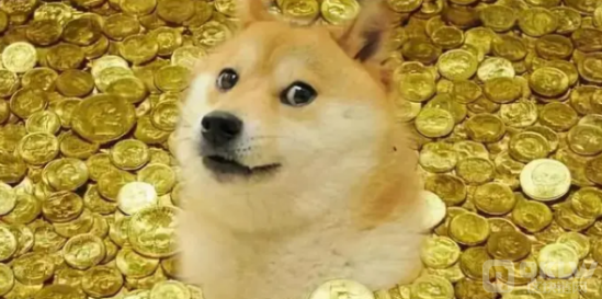 4.2亿枚DOGE转移到未知钱包，总价值约合6610万美元