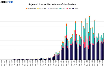 2024年5月调整后稳定币链上