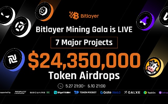 Bitlayer头矿节项目盘点之Enzo Finance: 空投价值300万美元