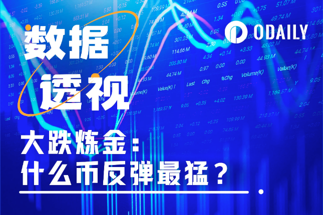 大跌淘金：252个代币里谁最强势，谁最能跌？