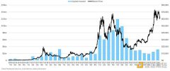 区块链风险投资的十五年：2009-2024年动态分析