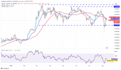 投资者认为比特币价格回调能够推动ETH、SUI、TAO和NOT的发展势头