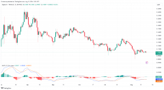 狗狗币主要指标飙升32%，