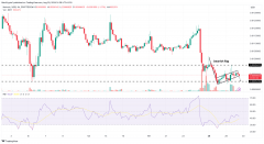 NOT币交易量增长50%