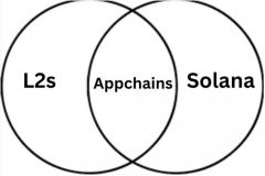 L2、Solana 还是 Appchain？谁是部署应用的最佳选择？