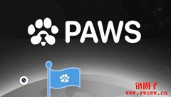 仓鼠快打失去了86%的用户，Paws迷你应用程序在TG上飙升