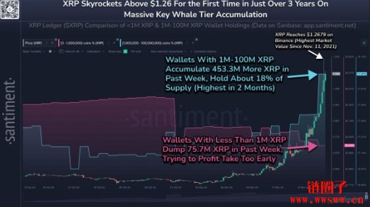 XRP突破1.2美元创三年新高，巨鲸过去一周增持4.5亿颗代币