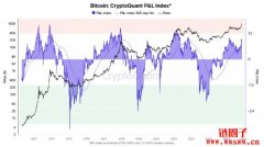 比特币会再攻10万美元吗？CryptoQuant：还有大量上涨空间