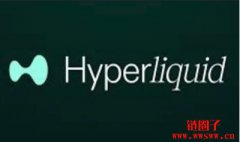 Hyperliquid其HYPE代币价格飙升，市值已超越借贷平台Aave