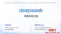 中国AI公司DeepSeek释出R1模型，挑战美国技术领先地位